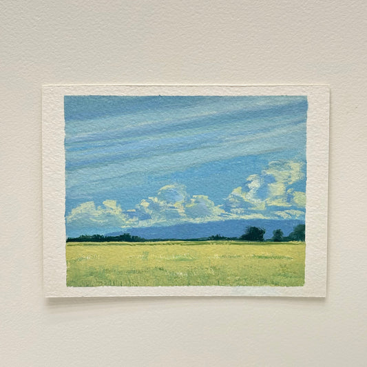 CR 98 - Clarity after a rainstorm