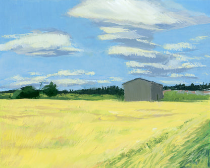 County Road Series- Clouds Breezing Over Ripening Spring Wheat