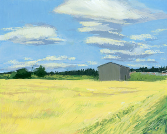 County Road Series- Clouds Breezing Over Ripening Spring Wheat